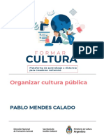 Organizar Cultura Publica - Pablo Mendes Calado rpTqvCa PDF
