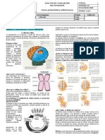 Ejemplo Guia Taller Evaluacion PDF