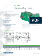 High Pressure Reciprocating Pump: Model BXM