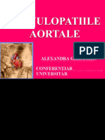 388671616 8 Valvulopatiile Aortale Grajdieru Converted