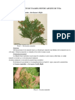 Tratamente Tuia PDF