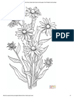 Rudbeckia Hirta or Black Eyed Susan Coloring Page - Free Printable Coloring Pages