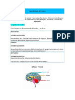 Neurobiologia en Trauma