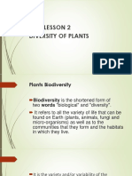 Lesson 2 Diversity of Plants