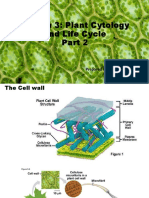 Lesson 3: Plant Cytology and Life Cycle Lesson 3: Plant Cytology and Life Cycle