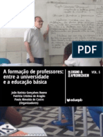 A Formação de Professores - Entre A Universidade e A Educação Básica PDF