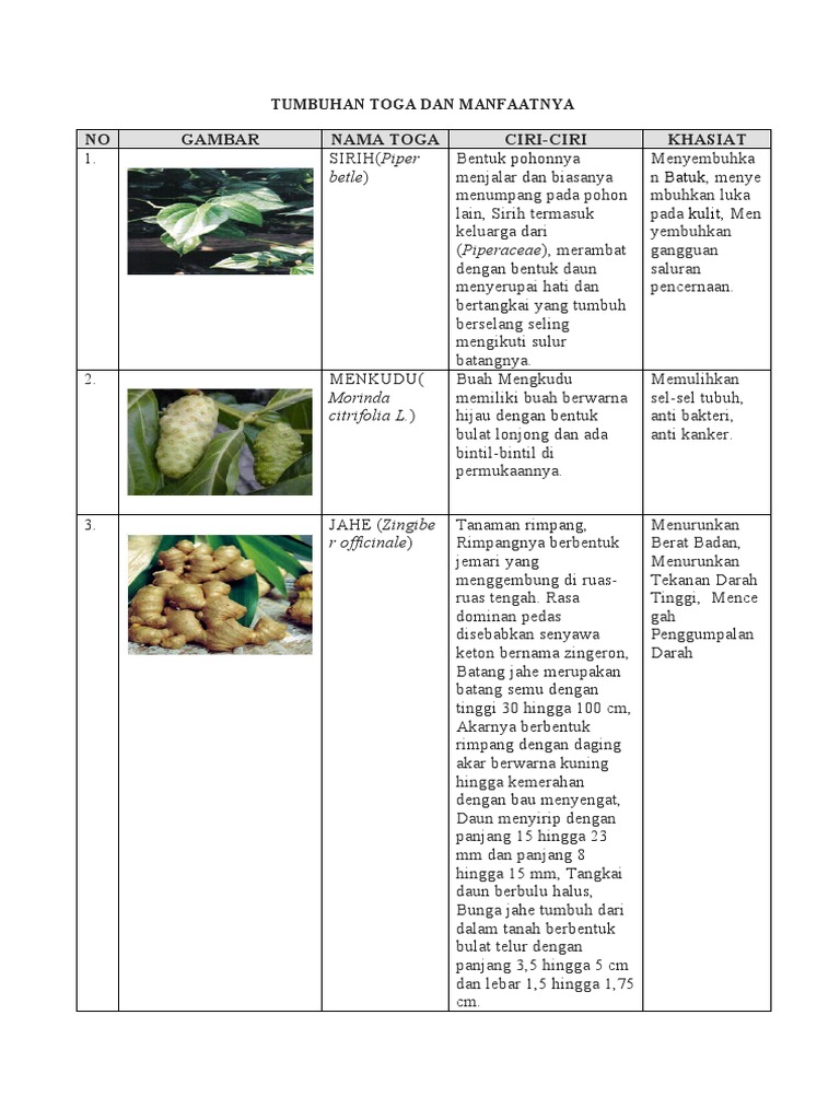 Tumbuhan Toga Dan Manfaatnya | PDF