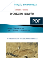 Coelho Bravo