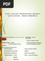 0plante_avasculare