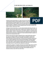 Bosque de Protección Altomayo