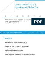 DrNewell EIA Administrator Shale Gas Presentation June212011 PDF