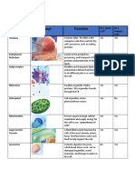 cell structure graphic orgainzer type 5