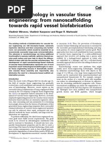 Nanotechnology in Vascular Tissue Engineering From