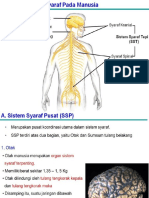 1.sistem Syaraf