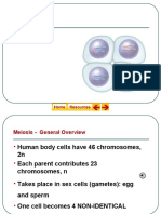 Meiosis.ppt