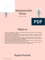 Osteomuscular Tórax