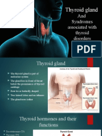 Thyroid Gland and Syndromes Associated With Its Disorders
