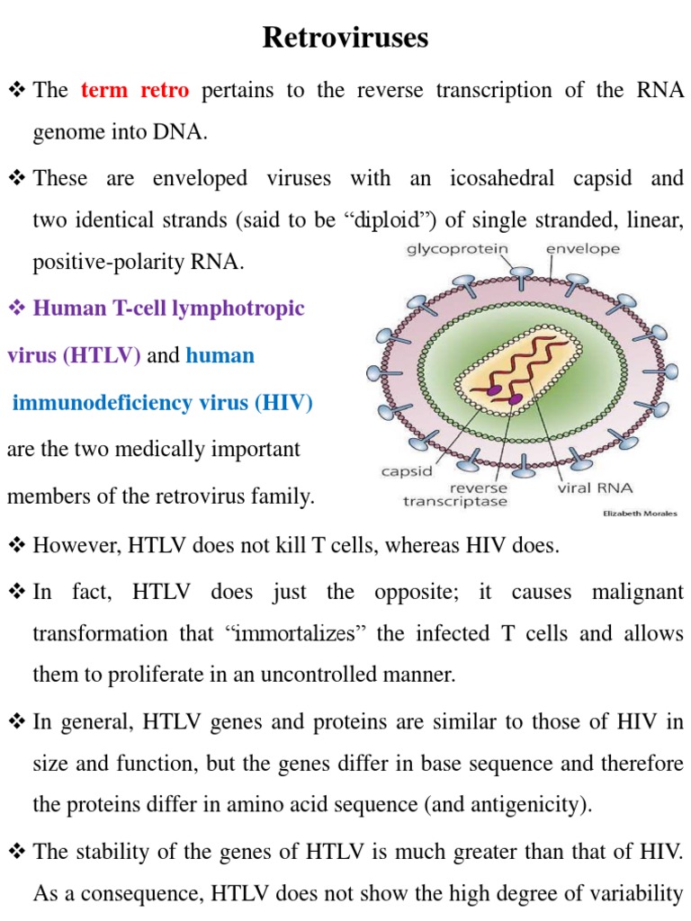Retroviruses: Term Retro | PDF | Retrovirus | Hiv