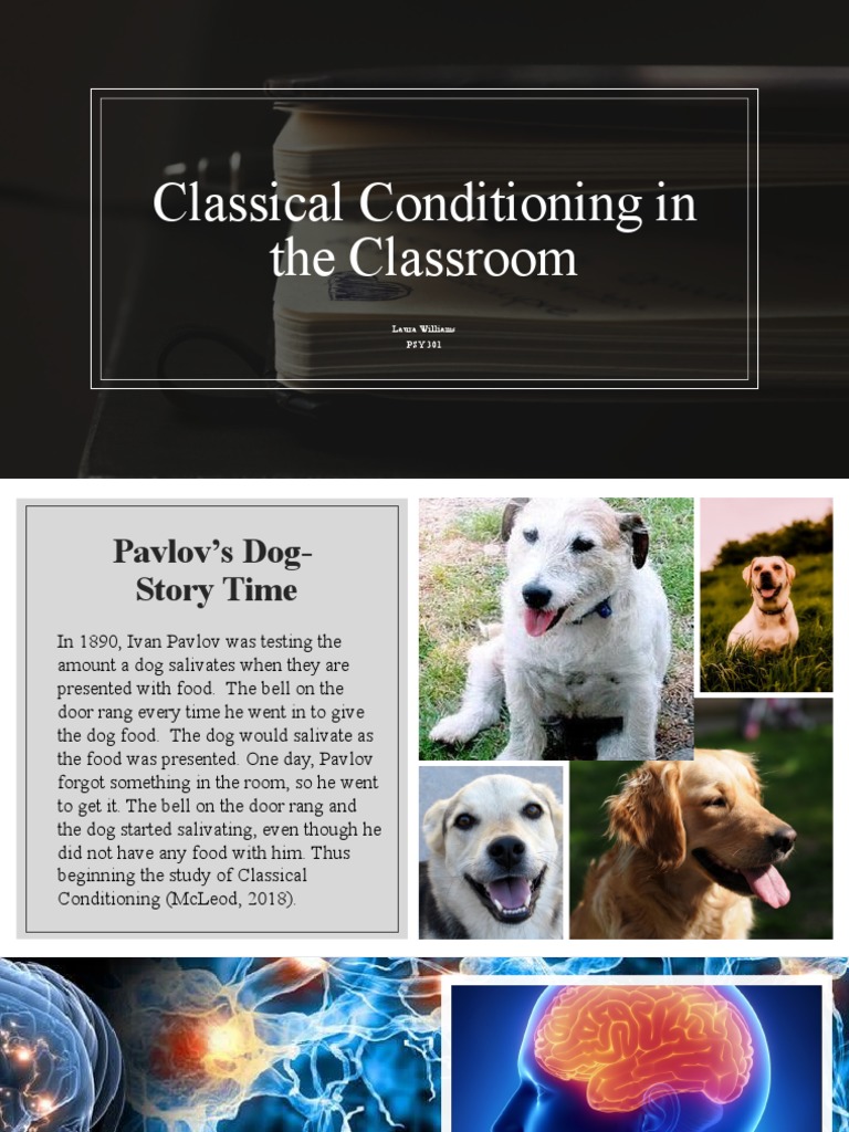 Psy 301 Classical Conditioning in The Classroom Presentation PDF
