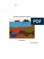 Petroleum Production Systems Stanko
