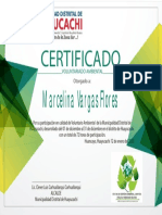 Certificado - Va 04 PDF