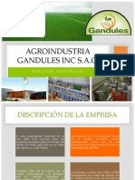 Gandules - Exposición
