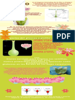 Gineceo PDF