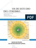 3-Métodos de Estudio Del Cerebro