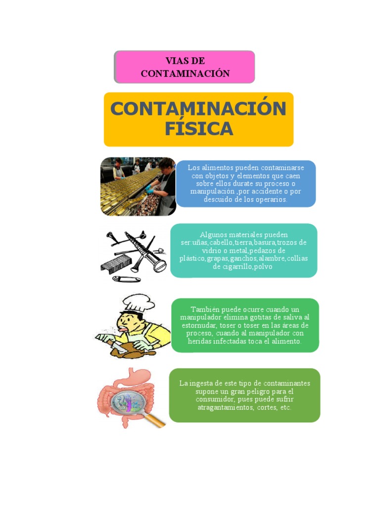 Vias de Contaminacion de Los Alimentos | PDF