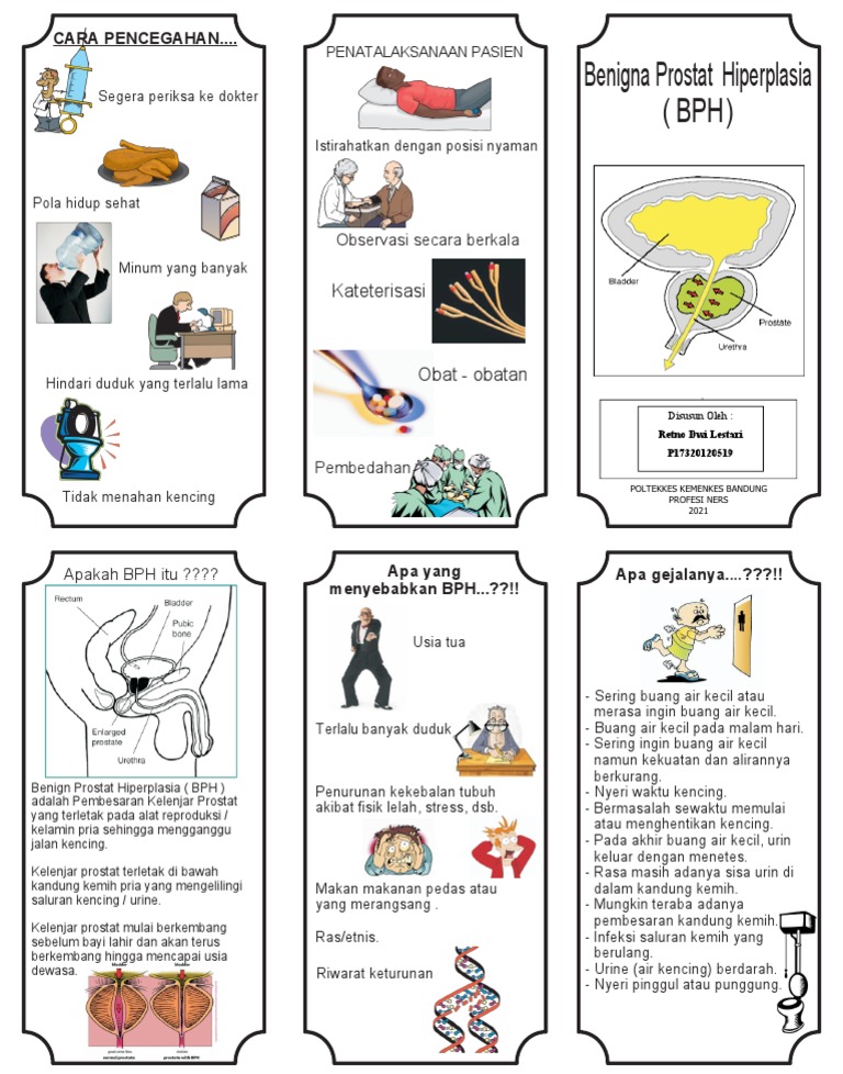 Leaflet Bphi Teori RDL | PDF