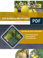 Bahan Ajar Melon PDF