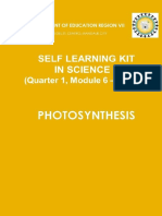 Photosynthesis PDF