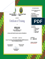 Certificate of Training: Aya H. Ali
