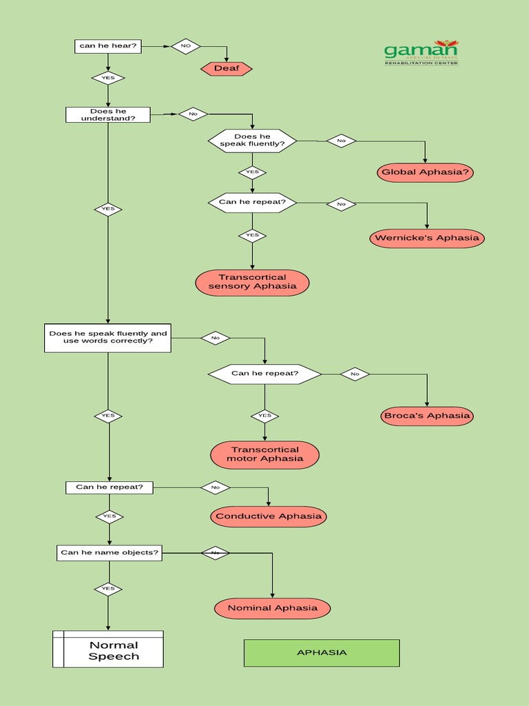Types of Aphasia Explained | PDF