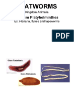 phylumplatyhelminthes2016-160420193558