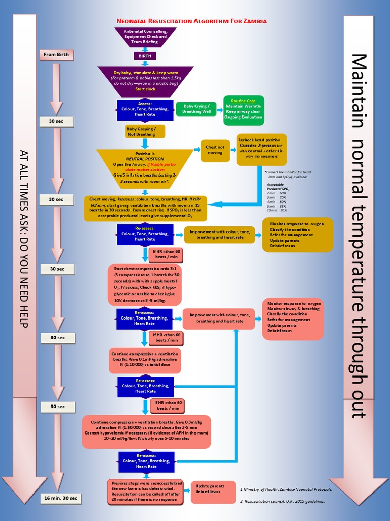 Neonatal Resuscitation Algorithm for Zambia: A Step-by-Step Guide to ...