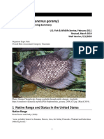 Gourami (Osphronemus Goramy) : Ecological Risk Screening Summary