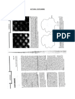 Lectura Costumbre PDF
