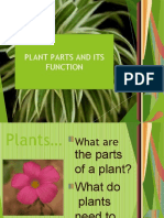 Plant Parts and Its Function