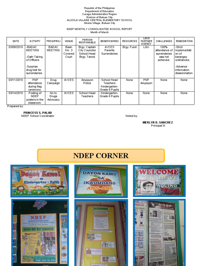 Ndep Monthly Consolidated School Report | PDF | Human Nature | Schools
