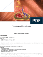 Patologia Glandelor Endocrine.