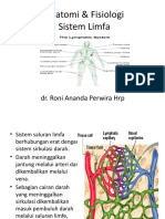 Anatomi Sistem Limfa