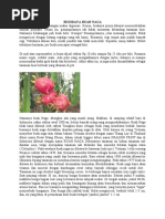 Download BUDIDAYA BUAH NAGA by Akhmad Rijaludin SN49069026 doc pdf