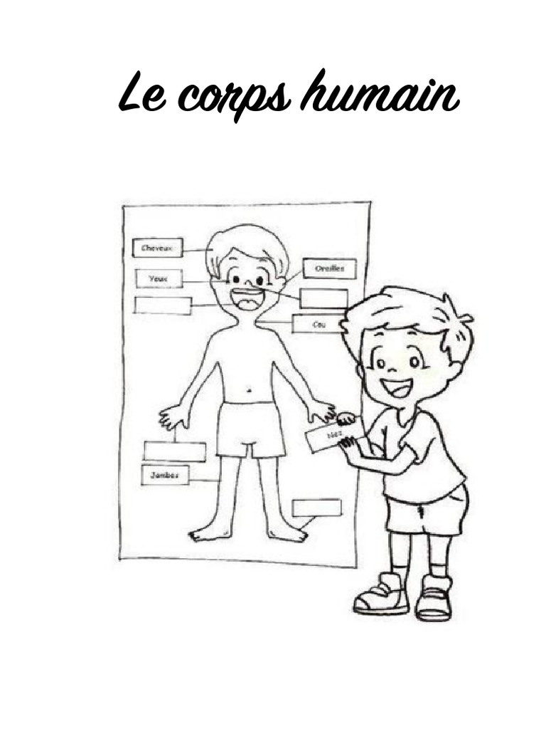 Coloriage Corps Humain Maternelle Activités Sur Le Corps Humain | PDF
