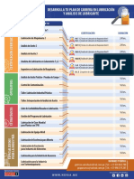 Plan de Carrera - Lubricación PDF