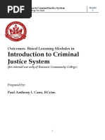 Introduction To Criminal Justice System 1