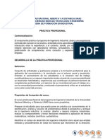 Practica_profesional_del_programa.pdf