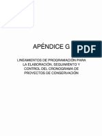 APENDICE G - Programación de Obra