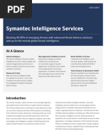 Symantec Intelligence Services: at A Glance