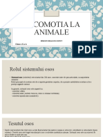 Locomotia La Animale